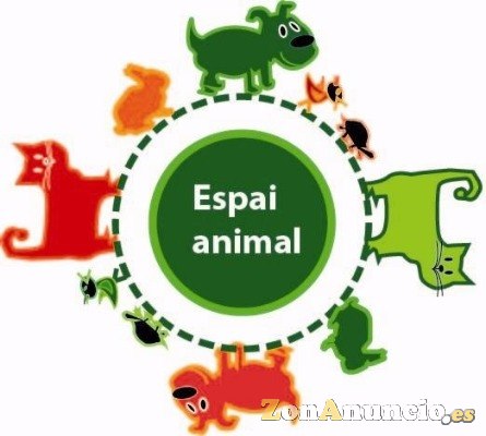 Centro de bienestar animal